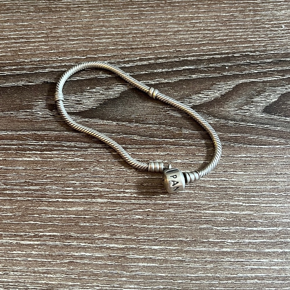 Pandora charm bracelet!